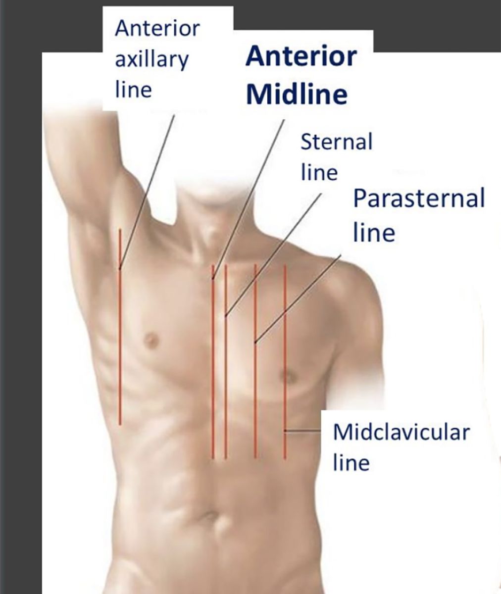 sternal line