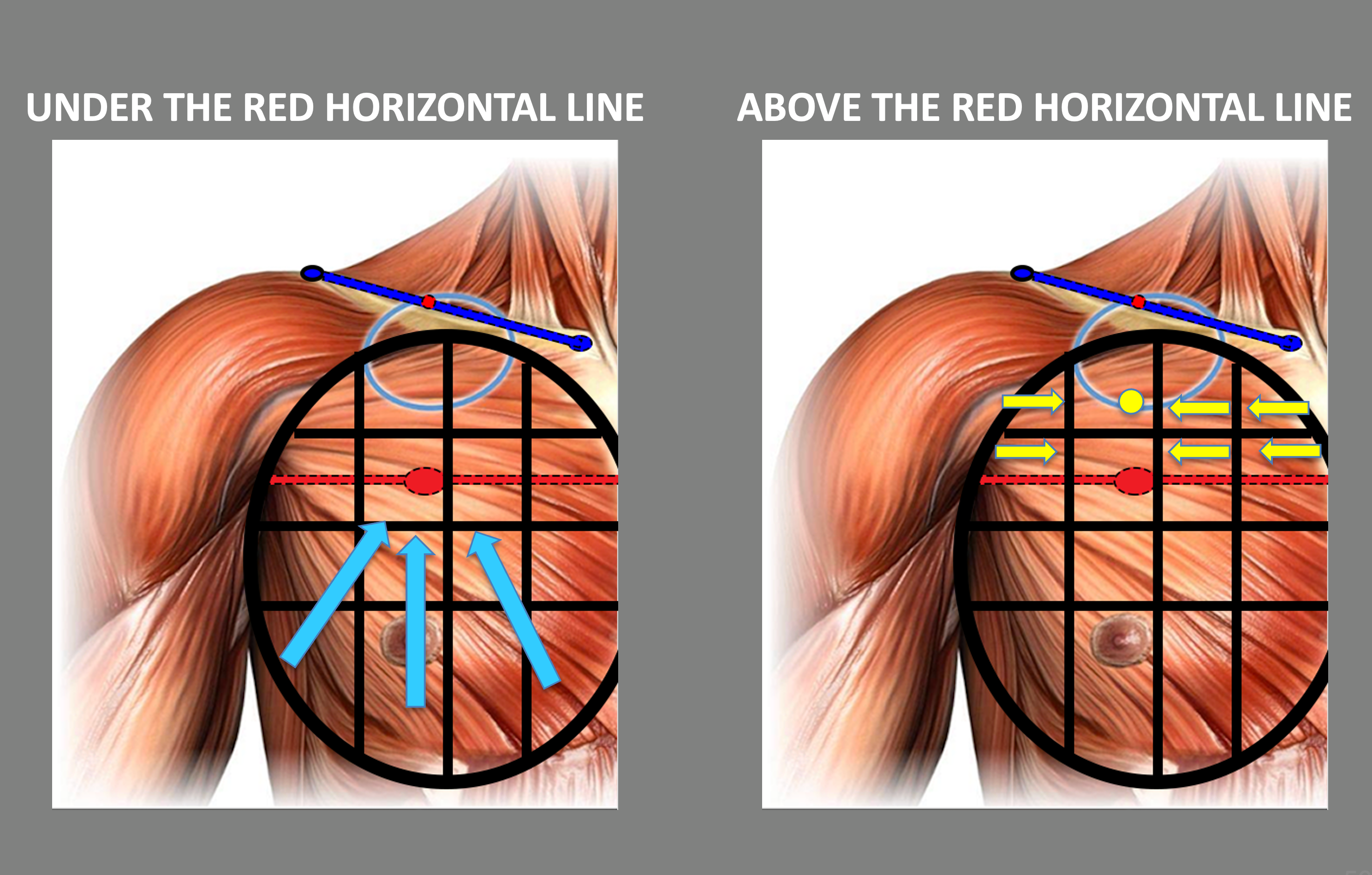 Step10- importance of the red horizontal line